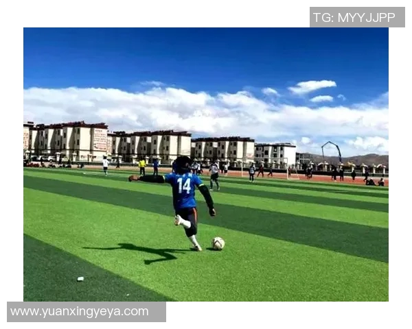 日喀则足球明星名单正式发布球迷期待新赛季精彩表现