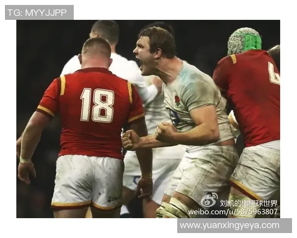 丹麦与爱尔兰激战正酣比赛结果揭晓引发热议