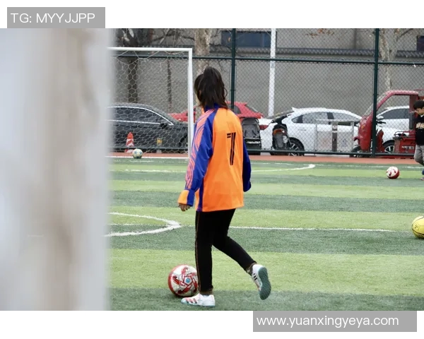 足球明星群像手绘图展现绿茵场上的荣耀与激情,追忆经典瞬间与传奇故事