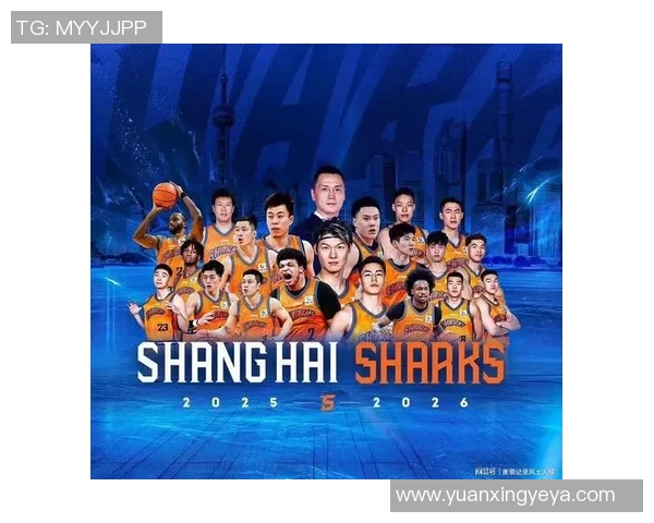 篮球明星直播PK盛宴谁将夺冠精彩对决引发球迷热潮