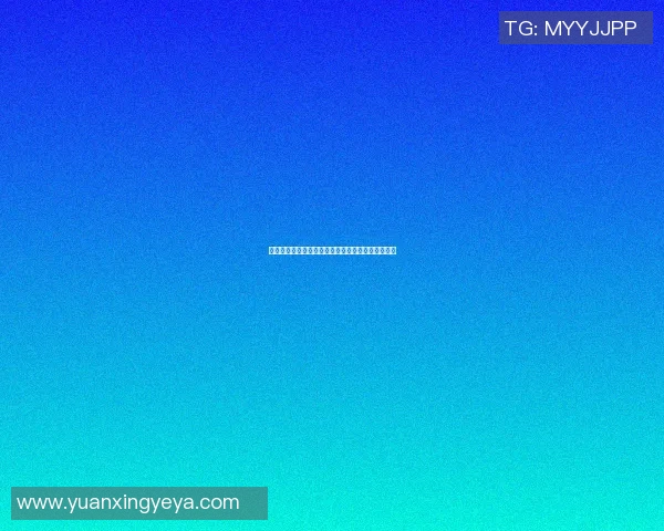 篮球明星的旗子在赛场上飘扬传递梦想与激情的力量